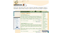 Desktop Screenshot of epodkarpacie.com